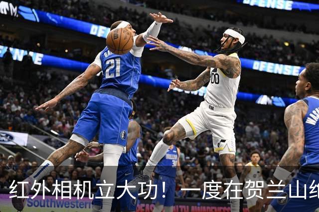 红外相机立大功！一度在贺兰山绝迹近70年，如今拍到一家三口同框
